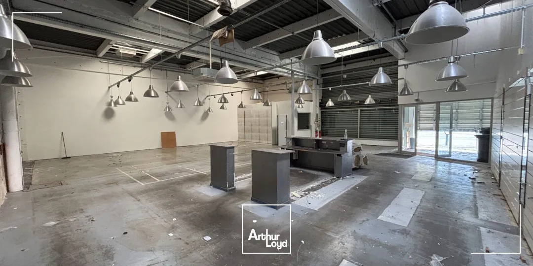 Locaux commerciaux - Location - BORDEAUX - 33000 - 267-617 - 7980748