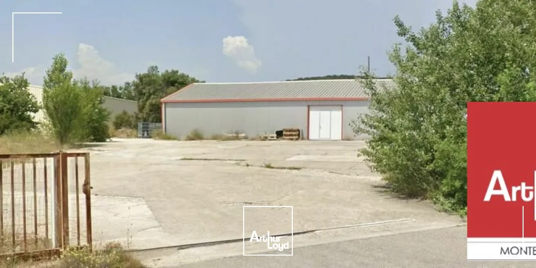 Locaux d'activité & Entrepôts - Vente - MALATAVERNE - 26780 - 322-322 - 7981376