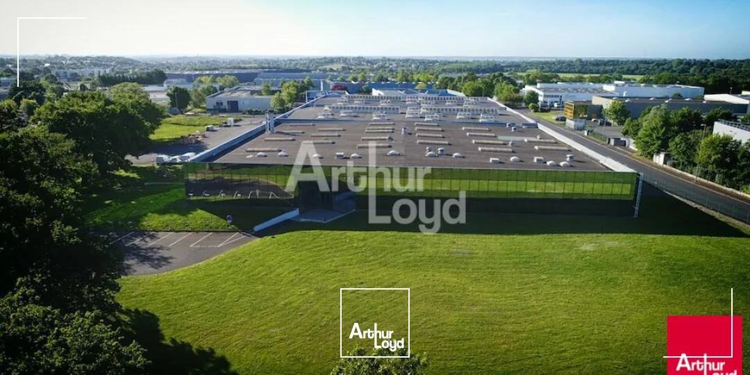 Locaux d'activité & Entrepôts - Vente - BEAUCOUZÉ - 49070 - 8186-8186 - 7981494