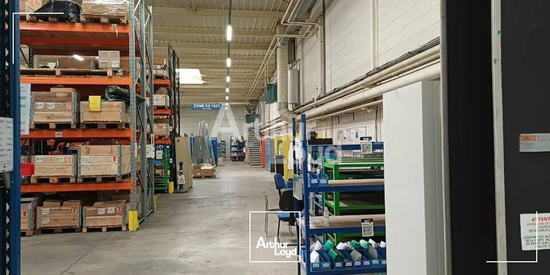 Locaux d'activité & Entrepôts - Vente - BEAUCOUZÉ - 49070 - 8186-8186 - 7981495