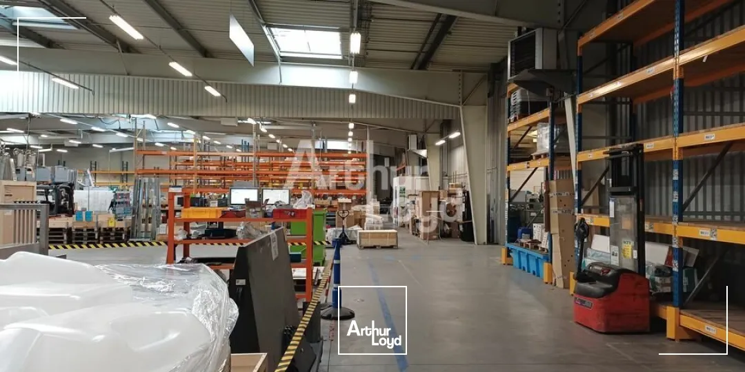 Locaux d'activité & Entrepôts - Vente - BEAUCOUZÉ - 49070 - 8186-8186 - 7981496