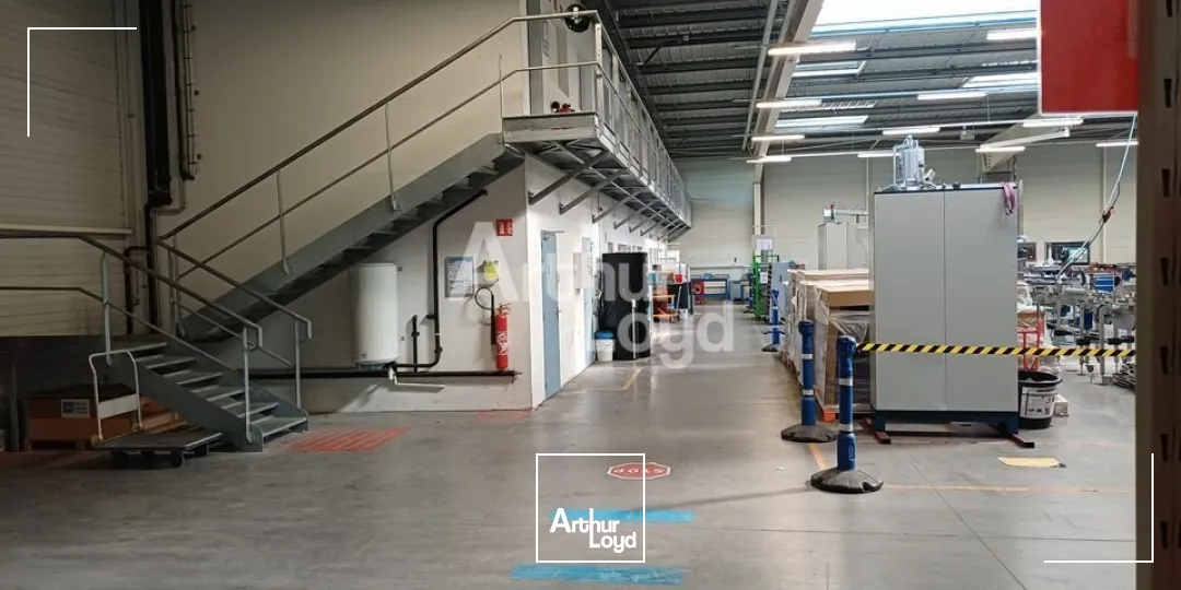 Locaux d'activité & Entrepôts - Vente - BEAUCOUZÉ - 49070 - 8186-8186 - 7981497