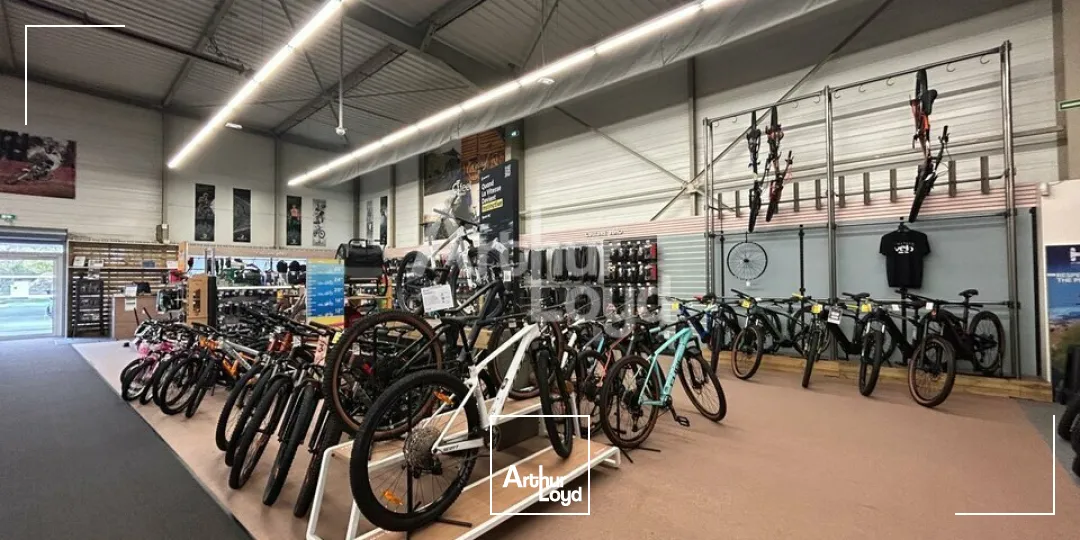 Locaux commerciaux - Location - VINEUIL - 41350 - 500-500 - 7981499