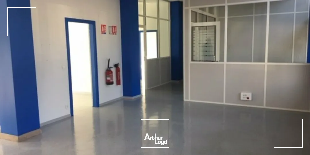 Bureaux - Location - MULHOUSE - 68100 - 24-187 - 7990051