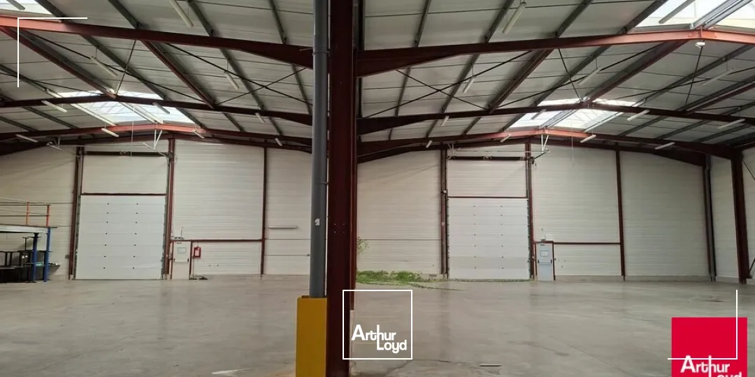 Locaux d'activité & Entrepôts - Location - SAINT-SATURNIN - 72650 - 2400-2400 - 8012888