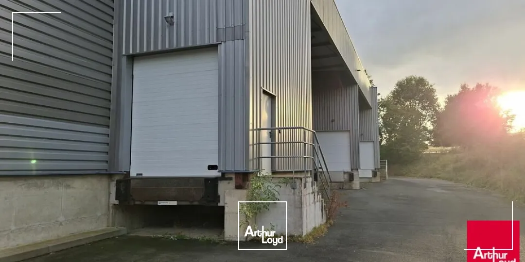 Locaux d'activité & Entrepôts - Location - SAINT-SATURNIN - 72650 - 2400-2400 - 8012889