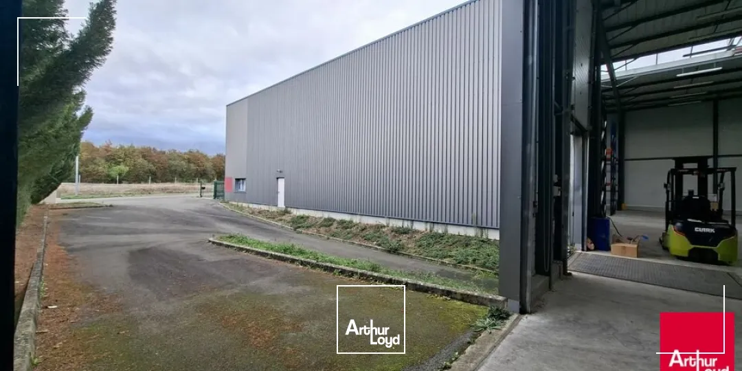 Locaux d'activité & Entrepôts - Location - SAINT SATURNIN - 72650 - 1320-1320 - 8012896
