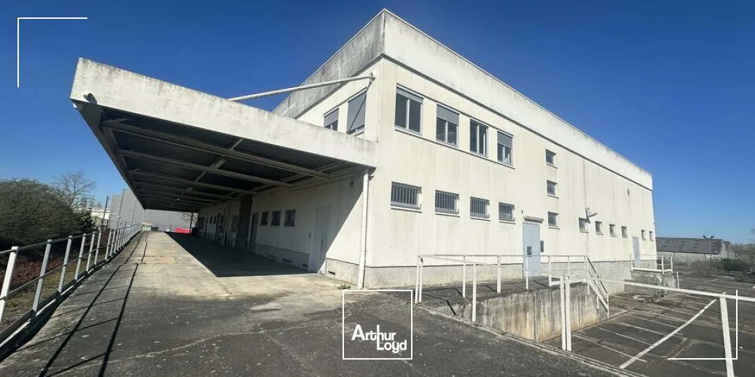 Locaux d'activité & Entrepôts - Location - BOURGES - 18000 - 1288-1288 - 8019133