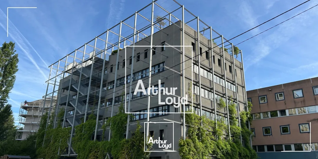 Bureaux - Location - TOULOUSE - 31400 - 1631.6-2031.6 - 8064788