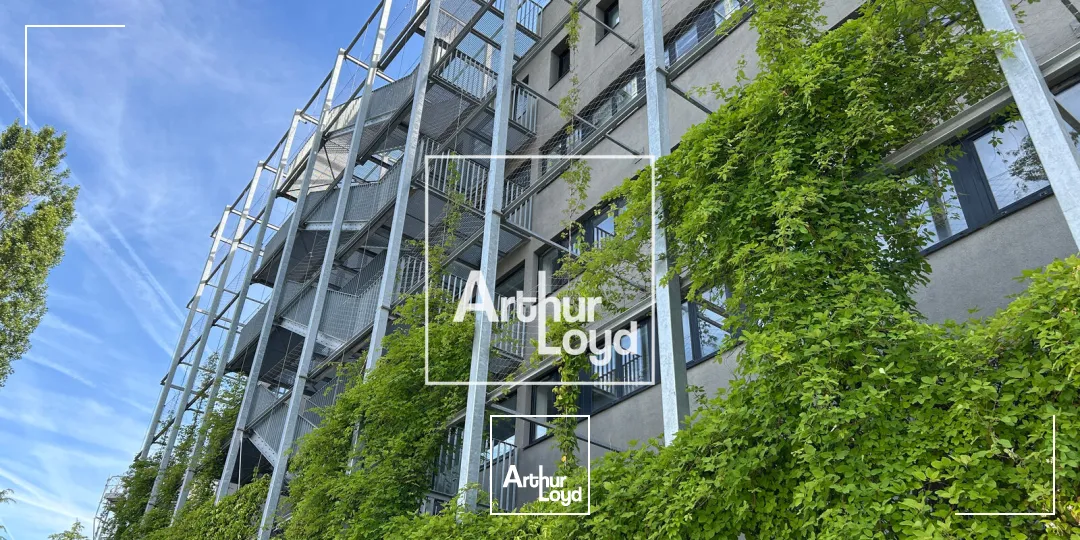 Bureaux - Location - TOULOUSE - 31400 - 1631.6-2031.6 - 8064790