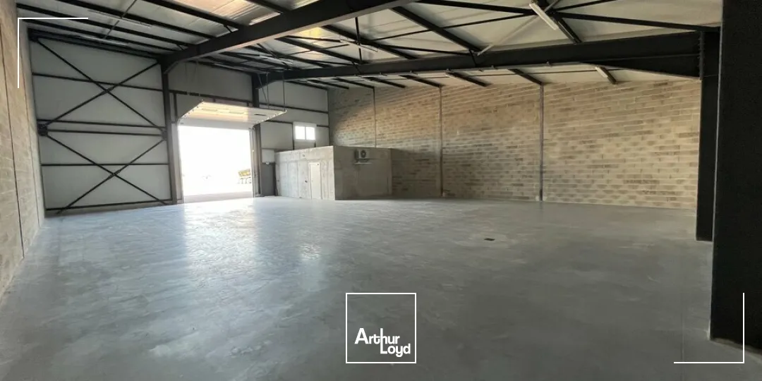 Locaux d'activité & Entrepôts - Location - BENFELD - 67230 - 352-352 - 8077084