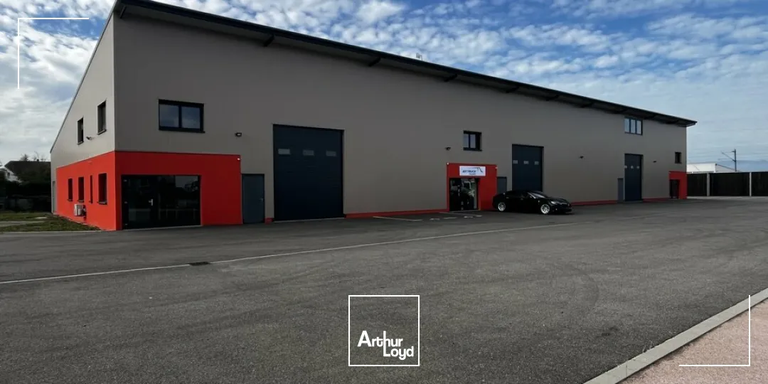 Locaux d'activité & Entrepôts - Location - BENFELD - 67230 - 352-352 - 8077086