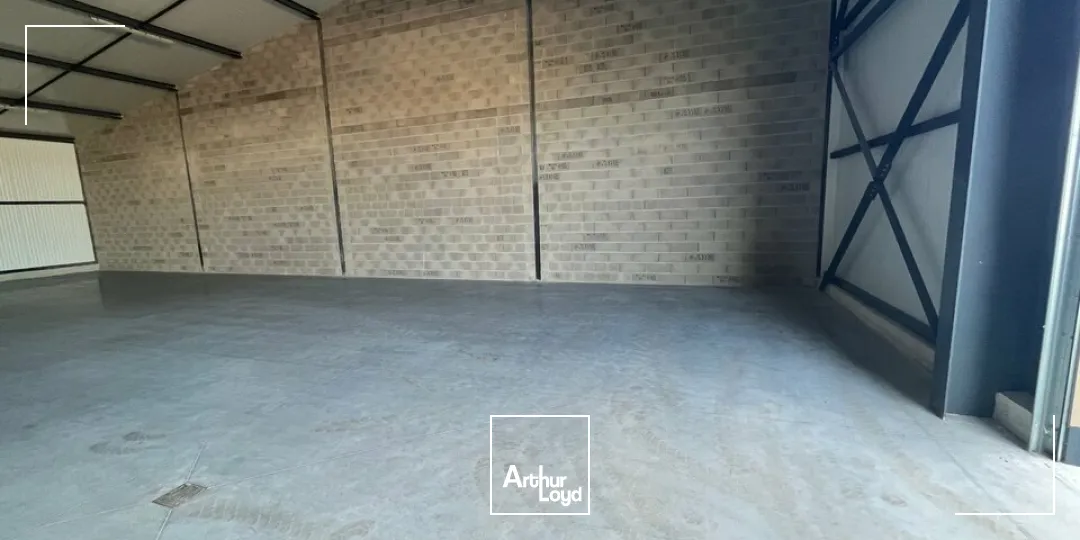 Locaux d'activité & Entrepôts - Location - BENFELD - 67230 - 352-352 - 8077088