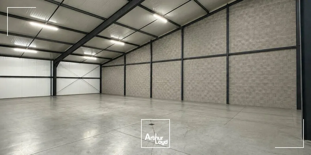 Locaux d'activité & Entrepôts - Location - BENFELD - 67230 - 407-407 - 8077102