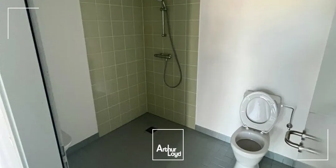 Locaux d'activité & Entrepôts - Location - BENFELD - 67230 - 407-407 - 8077105