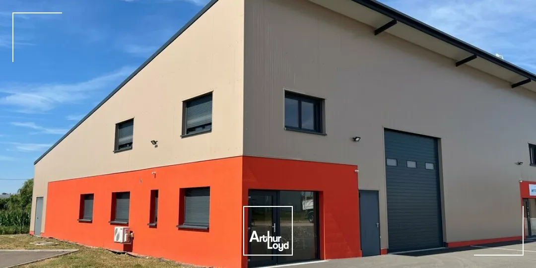 Locaux d'activité & Entrepôts - Location - BENFELD - 67230 - 407-407 - 8077106