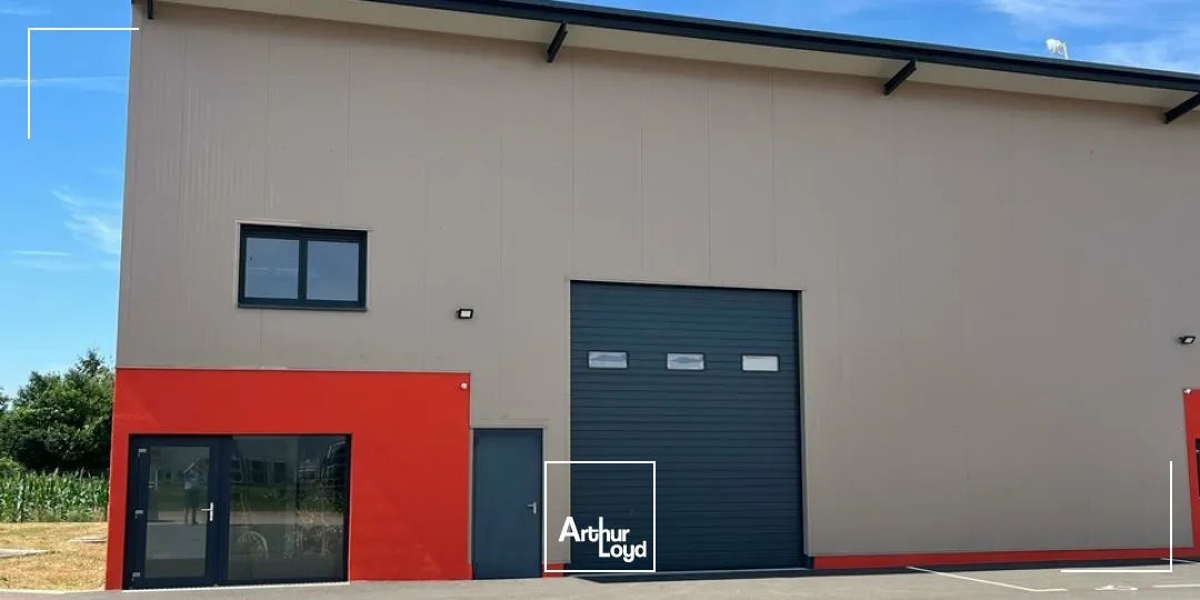 Locaux d'activité & Entrepôts - Location - BENFELD - 67230 - 407-407 - 8077107