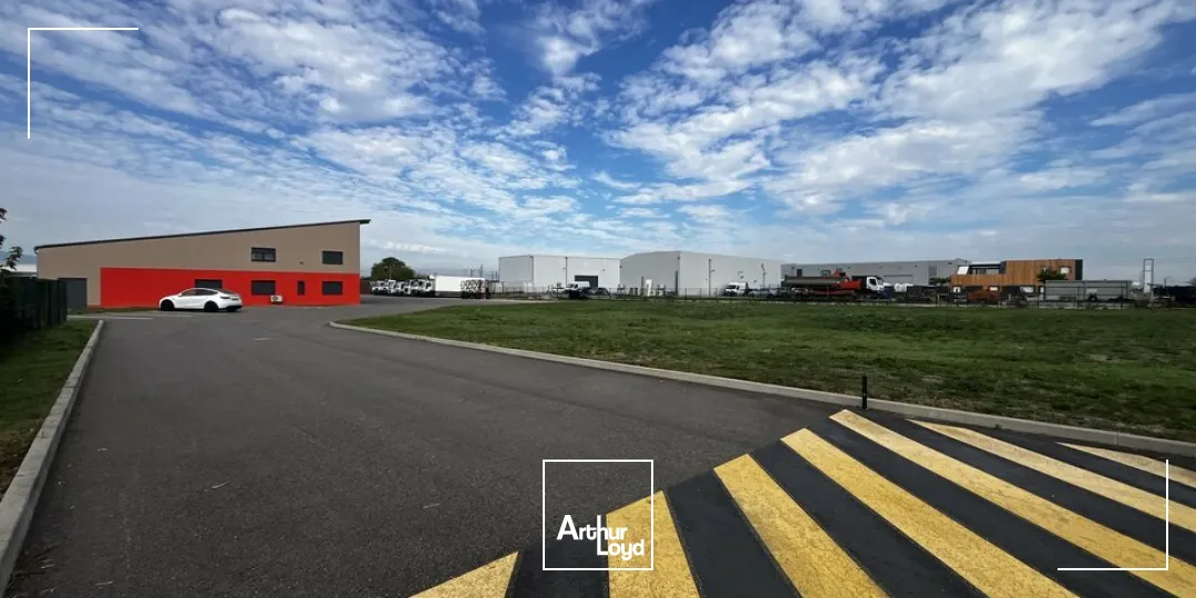 Locaux d'activité & Entrepôts - Location - BENFELD - 67230 - 407-407 - 8077108
