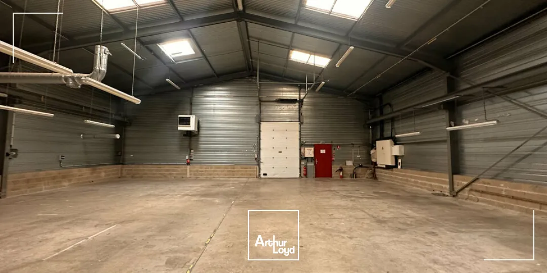 Locaux d'activité & Entrepôts - Vente - ÉPERNAY - 51200 - 1105-1105 - 8077204