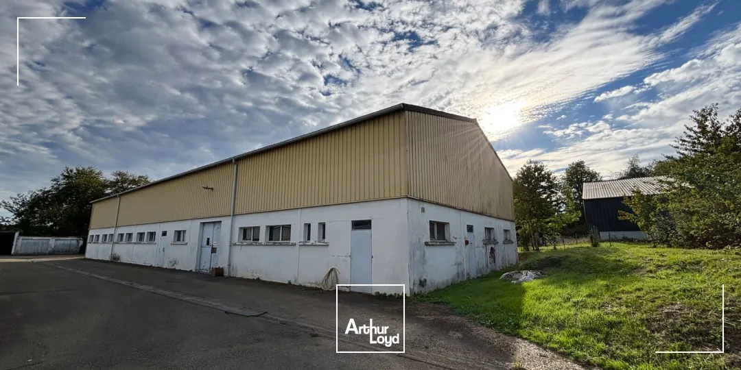 Locaux d'activité & Entrepôts - Location - ISNEAUVILLE - 76230 - 600-1200 - 8080441