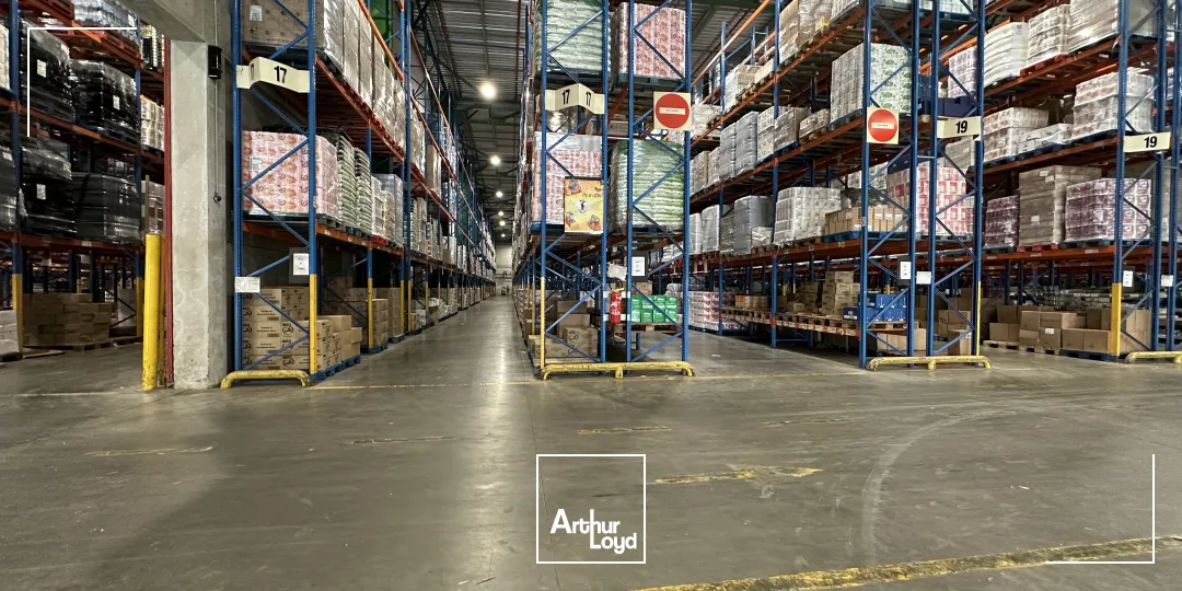 Logistique - Location - STRASBOURG - 67000 - 35268-48462 - 7764461