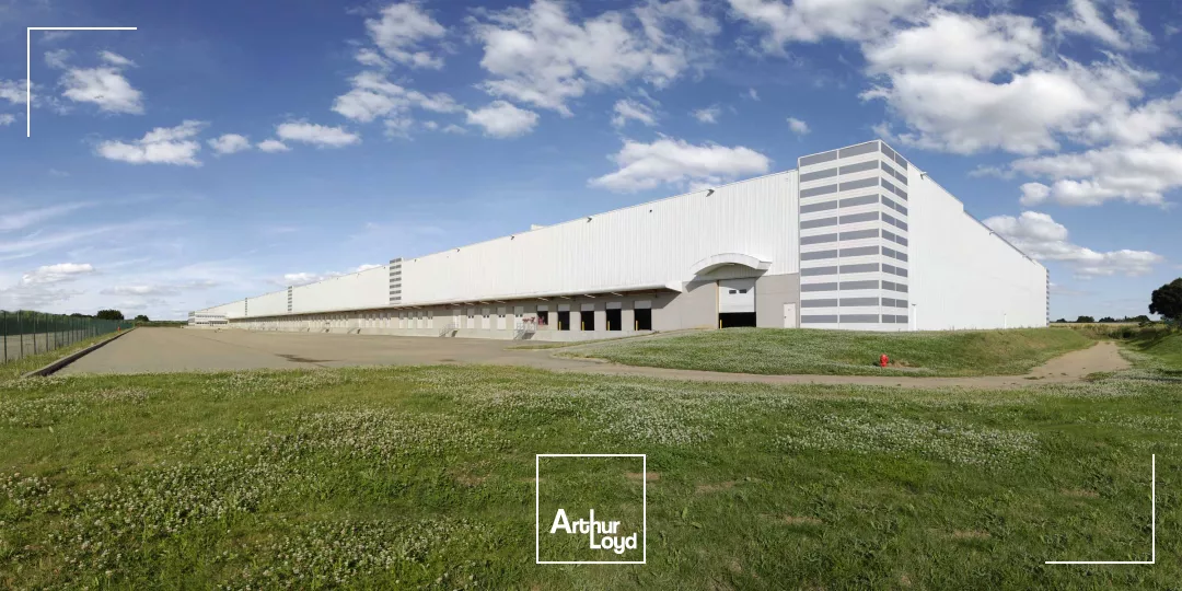 Surface disponible sur Savigny S/Clairis