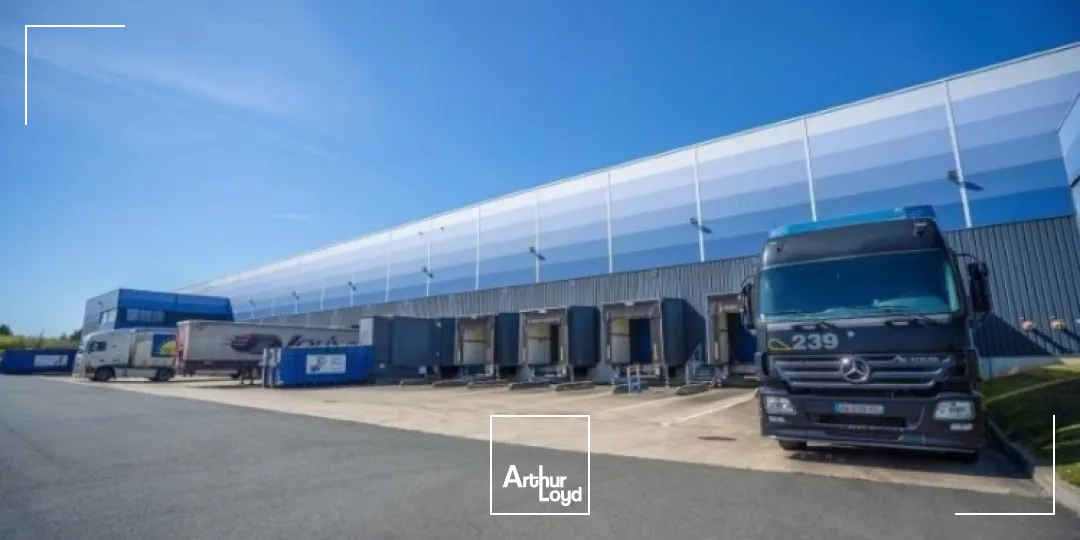 Logistique - Location - BEAULIEU SUR LAYON - 49750 - 31407-31407 - 7979275