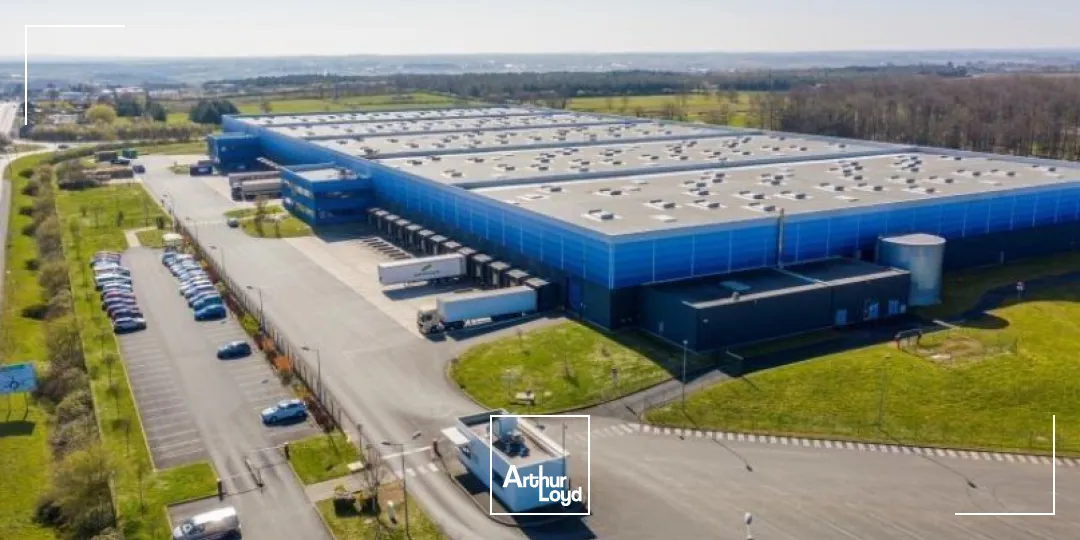 Logistique - Location - BEAULIEU SUR LAYON - 49750 - 31407-31407 - 7979276