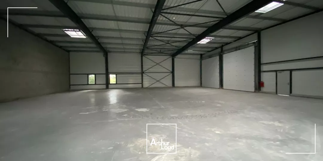 A Vendre Local d'activité Salles Sur Mer 527 m²