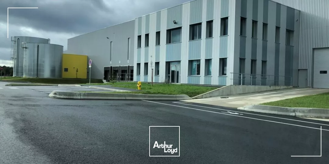 LOCAL D'ACTIVITE - ENTREPOT à LOUER de 3892 m²