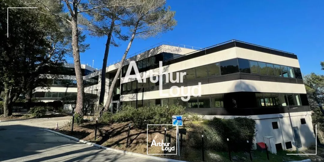 Ecoryzon - Bureaux rénovés 1027,46 m² divisibles à louer - Sophia Antipolis