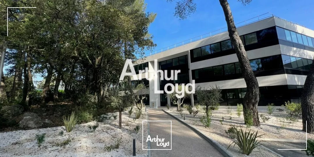 Ecoryzon - Bureaux rénovés 1027,46 m² divisibles à louer - Sophia Antipolis