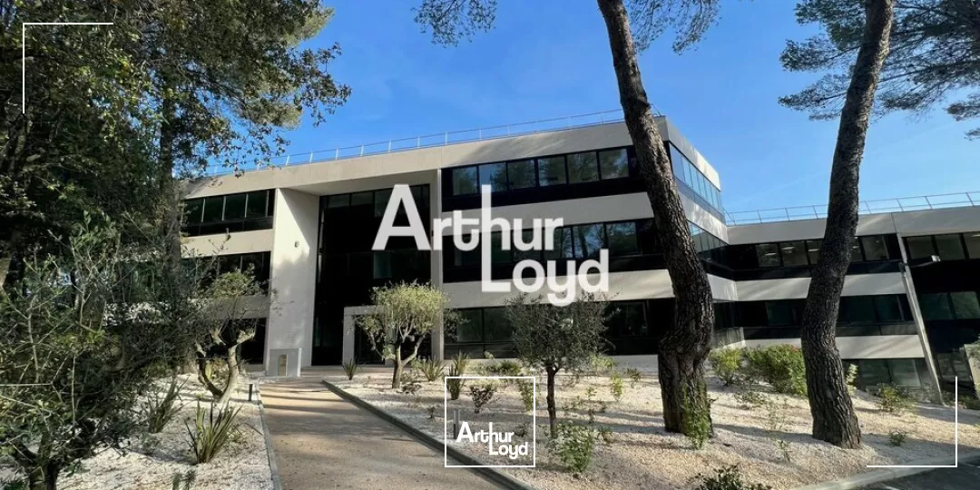 Ecoryzon - Bureaux rénovés 1027,46 m² divisibles à louer - Sophia Antipolis
