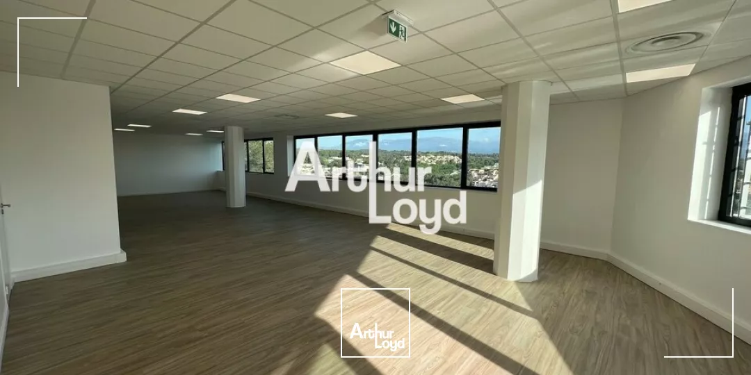 Ecoryzon - Bureaux rénovés 1027,46 m² divisibles à louer - Sophia Antipolis