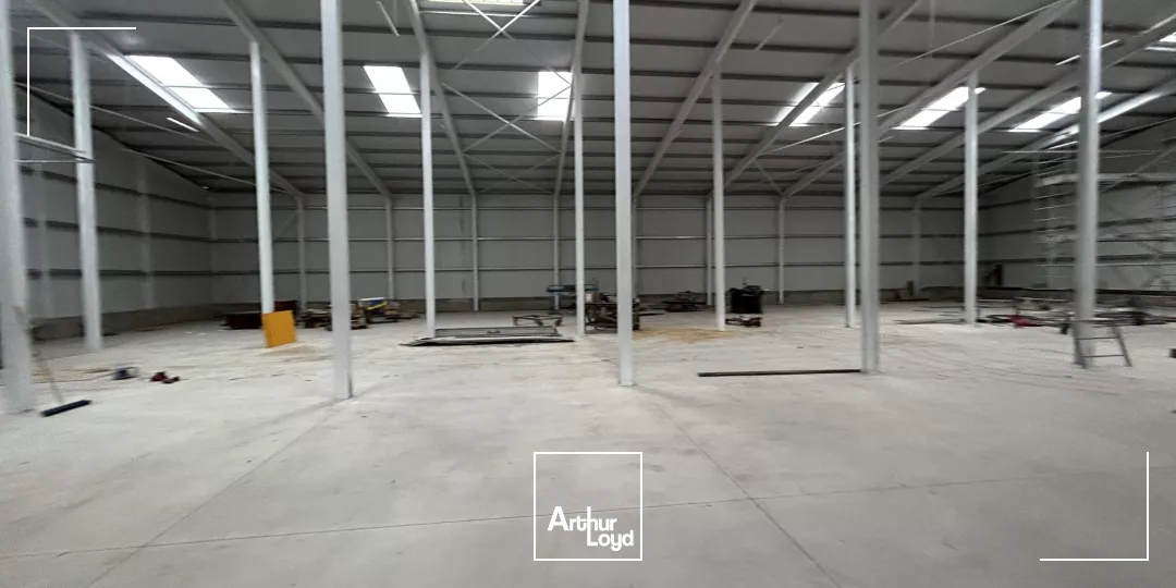 Local d'activité neuf à louer - Argelès-sur-Mer