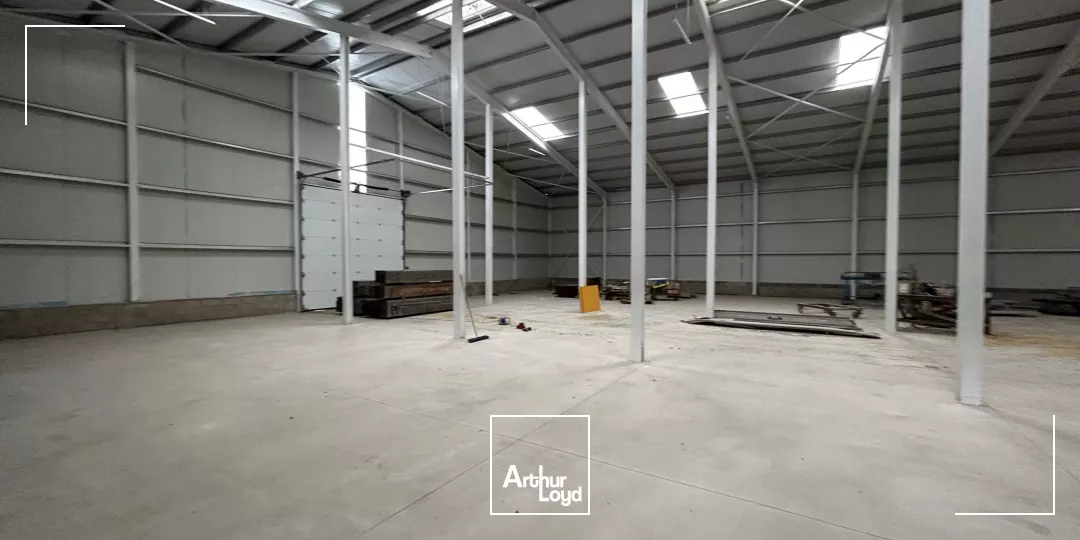 Local d'activité neuf à louer - Argelès-sur-Mer