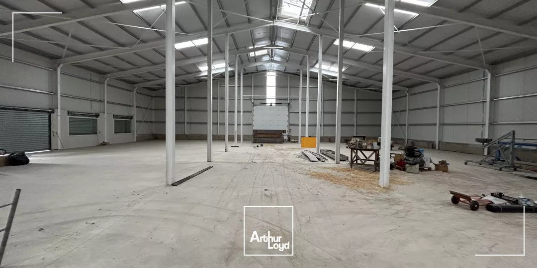 Local d'activité neuf à louer - Argelès-sur-Mer