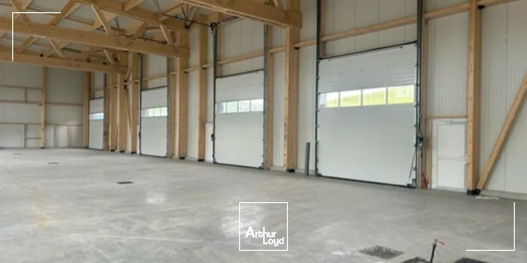 LOCAL D'ACTIVITE - ENTREPOT à LOUER de 230 m²