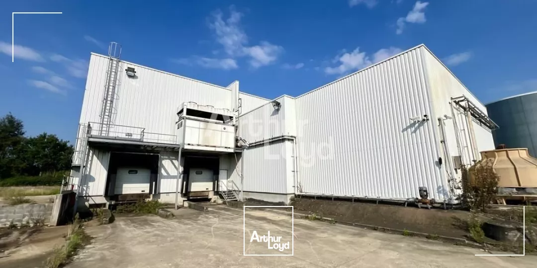 BETTON - LOCAL D'ACTIVITE A VENDRE 8 700m² 