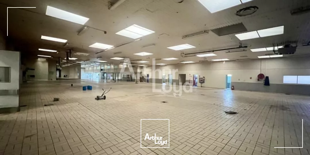 BETTON - LOCAL D'ACTIVITE A VENDRE 8 700m² 