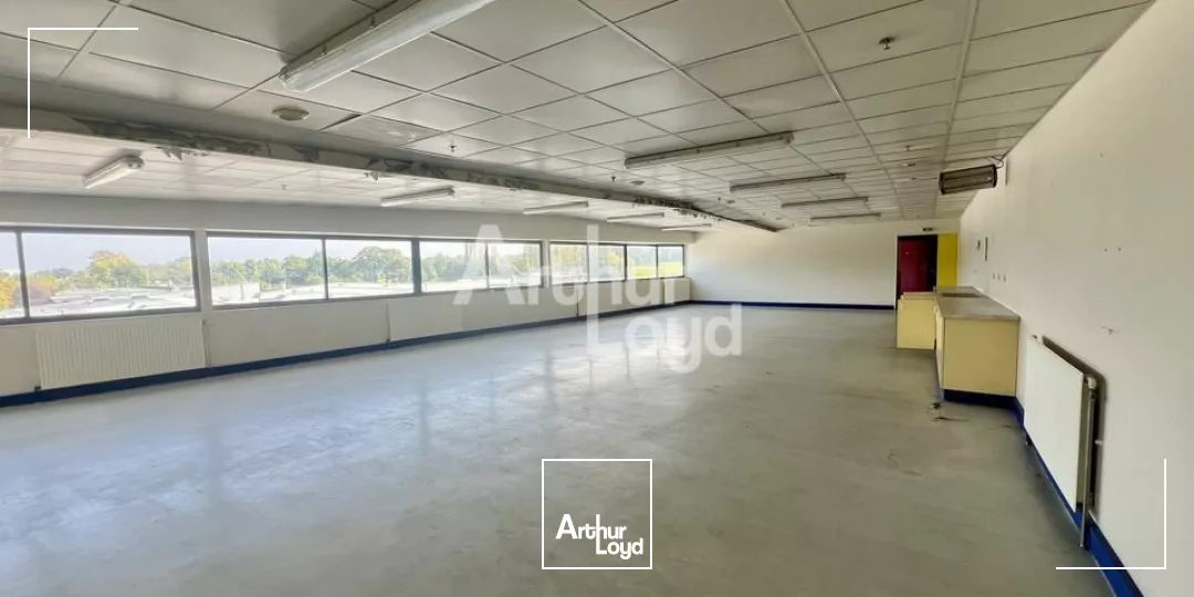 BETTON - LOCAL D'ACTIVITE A VENDRE 8 700m² 