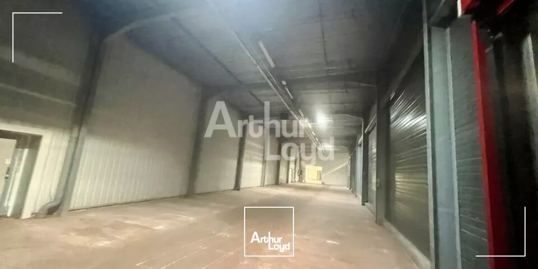 BETTON - LOCAL D'ACTIVITE A VENDRE 8 700m² 