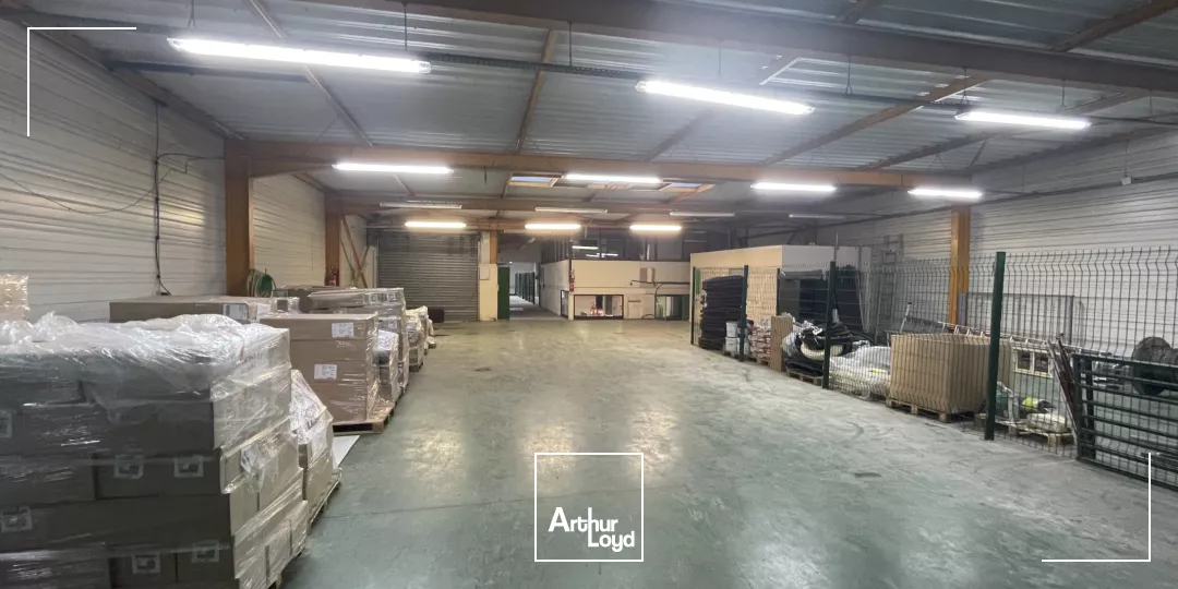 LOCAL D'ACTIVITE A LOUER DE 1 141 m2