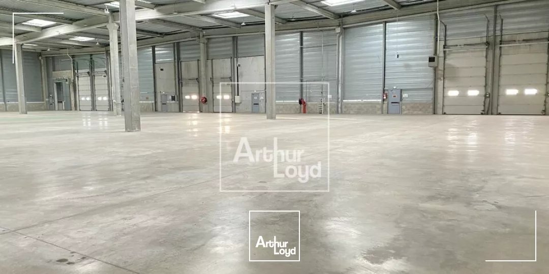 Belles cellules d' activité à louer - COMBS LA VILLE