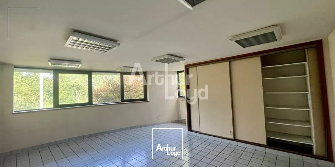 BETTON - LOCAL D'ACTIVITE A LOUER 8 700m² 