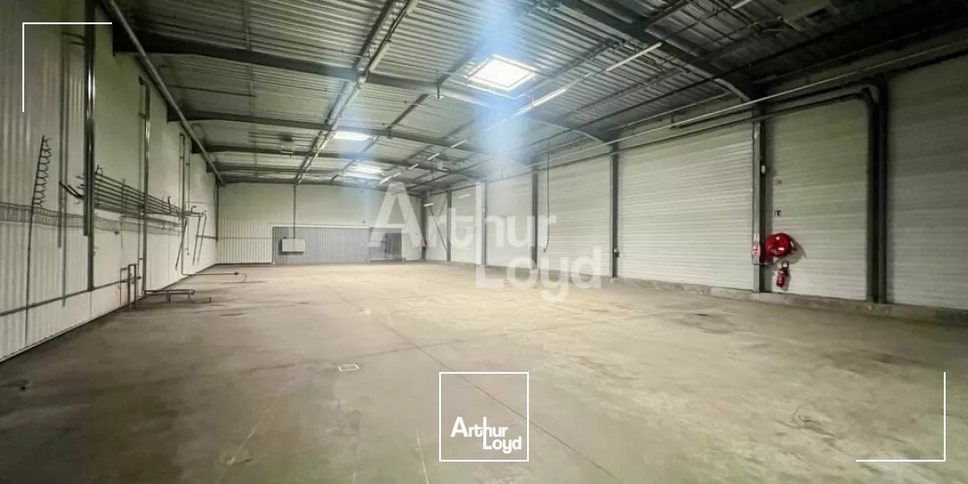 BETTON - LOCAL D'ACTIVITE A LOUER 8 700m² 