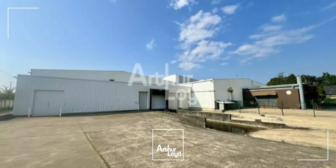 BETTON - LOCAL D'ACTIVITE A LOUER 8 700m² 