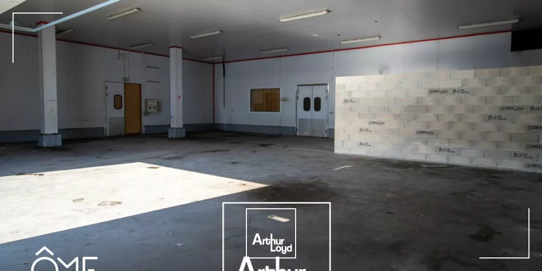 LOCAL D'ACTIVITE - ENTREPOT location à BRIVE LA GAILLARDE 19100