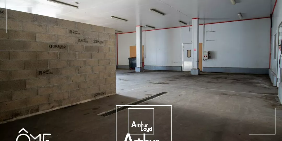 LOCAL D'ACTIVITE - ENTREPOT location à BRIVE LA GAILLARDE 19100