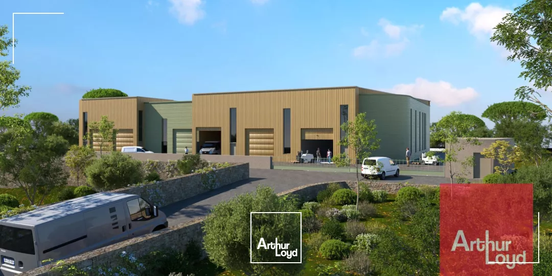 Local d'activité neufs à louer - Saint-Georges d'Orques